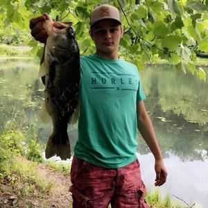 Meet your Posher, Brandon